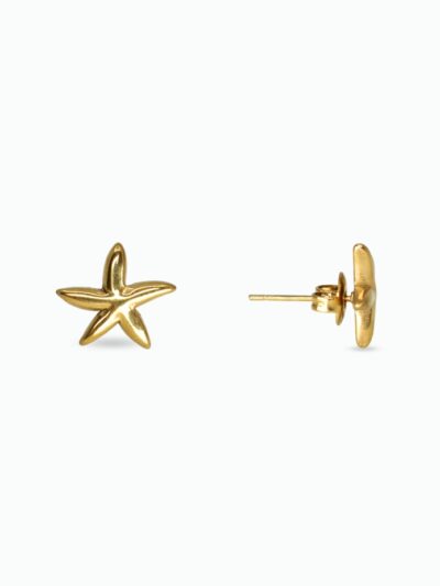 Boucles d’oreilles étoiles de mer