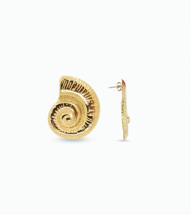 Boucles d'oreilles fossil