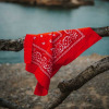 Foulard orange​​