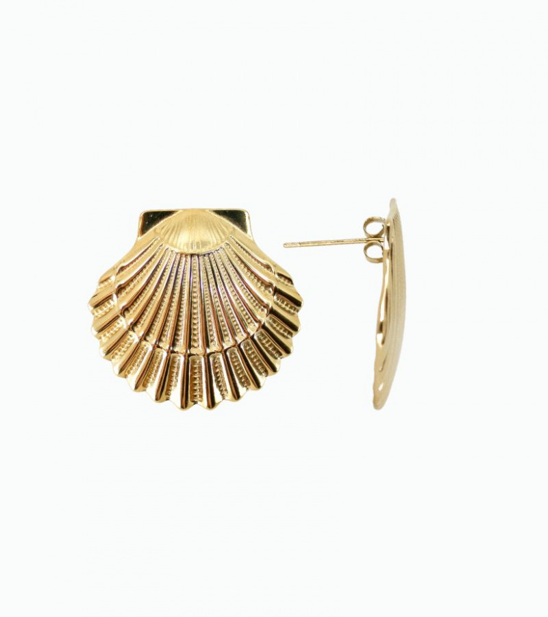 Boucle d'oreille coquille saint jacques
