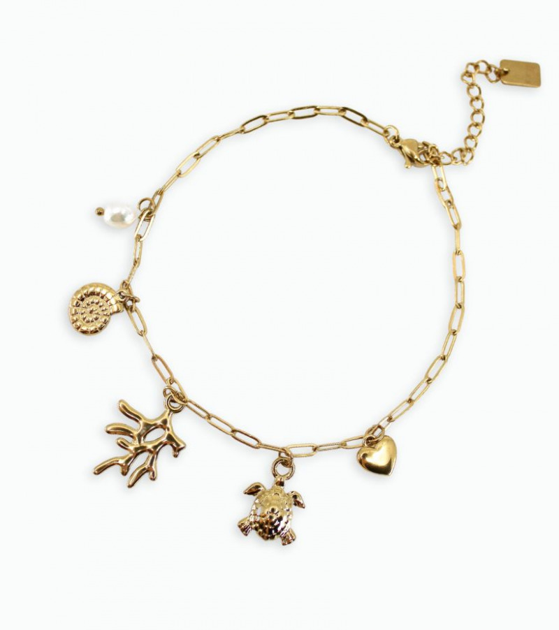 Bracelet cheville coquillage