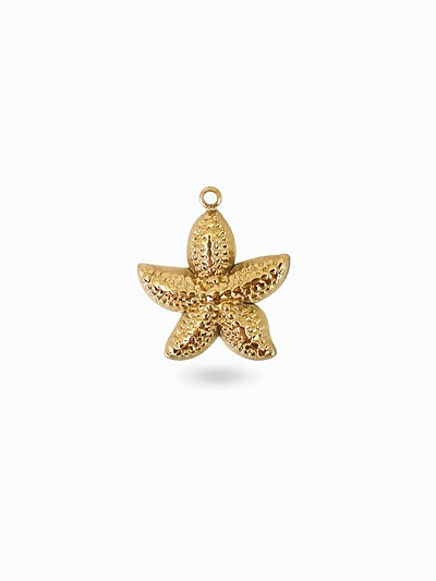 Bijoux étoile de mer