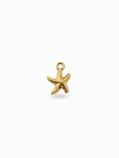 Bijoux étoile de mer