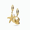 Boucle d oreille coquillage acier inoxydable​