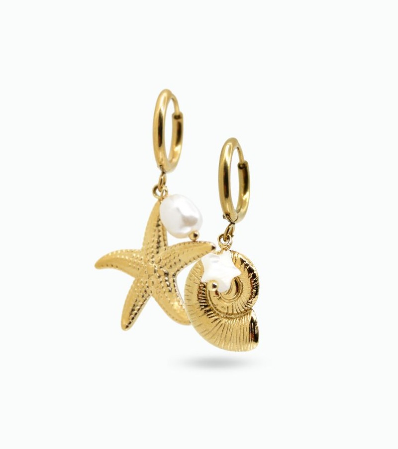 Boucle d oreille coquillage acier inoxydable​