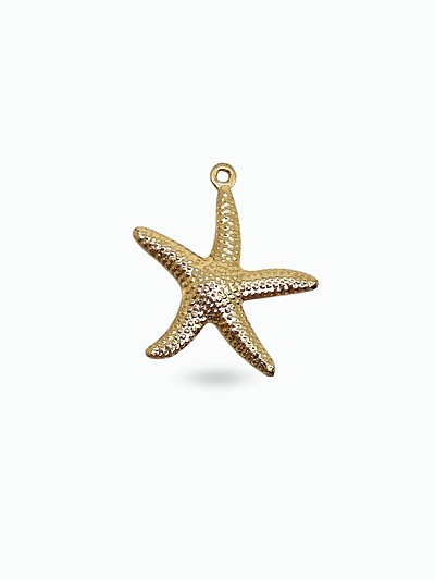Bijou charm étoile de mer doré