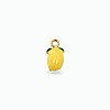 Charms citron​