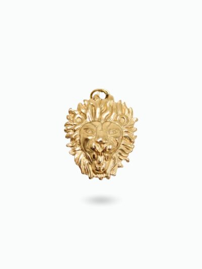 Pendentif lion​