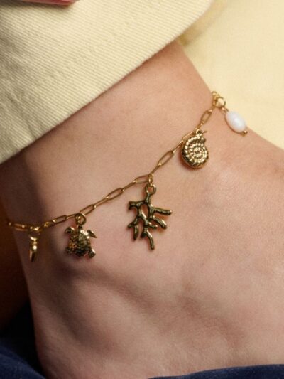 Bracelet cheville coquillage