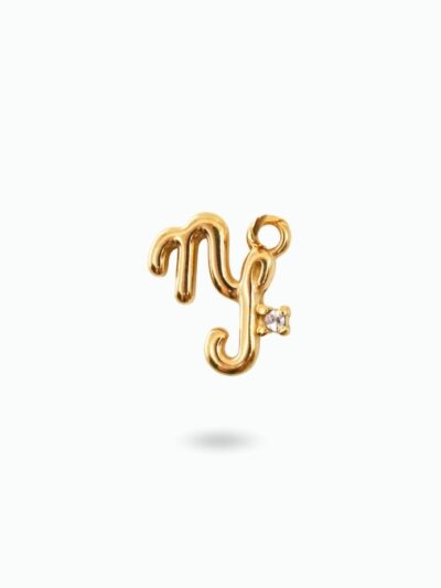 Pendentif signe astro capricorne