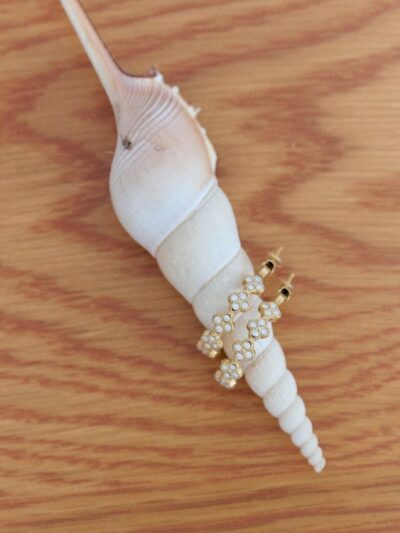 Boucles d'oreilles créoles fantaisie