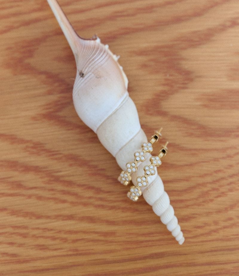 Boucles d'oreilles créoles fantaisie