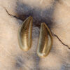 Grosses boucles d'oreilles pendantes originales​