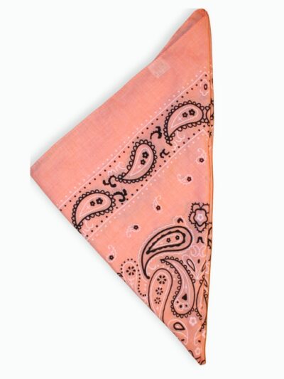 foulard paisley orange
