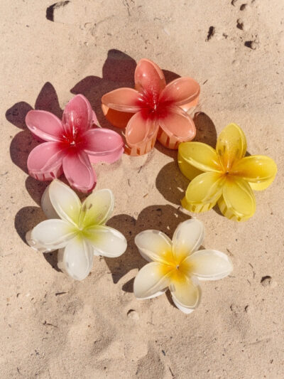 Pince fleur cheveux​