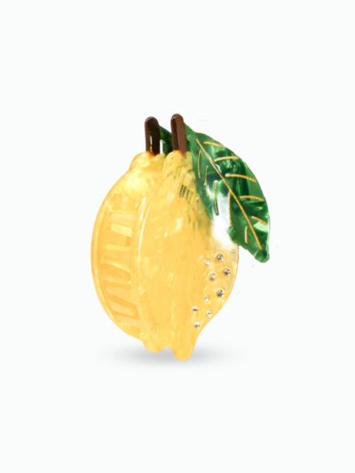 Grosse pince à cheveux