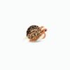 Tortue