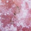 Tourmaline rose